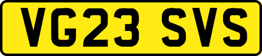 VG23SVS