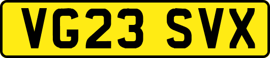 VG23SVX