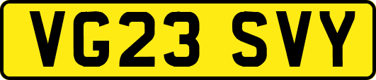 VG23SVY