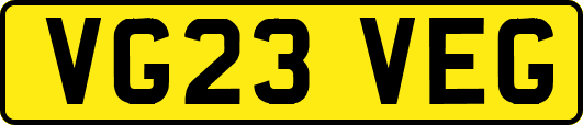 VG23VEG