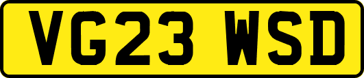 VG23WSD