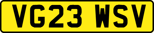 VG23WSV