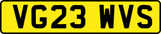 VG23WVS