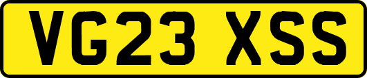 VG23XSS