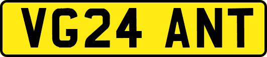 VG24ANT