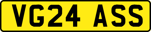 VG24ASS