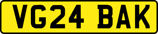 VG24BAK