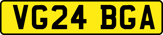 VG24BGA