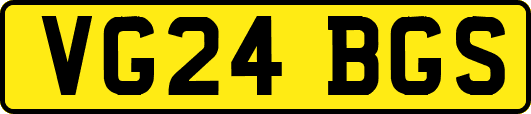 VG24BGS