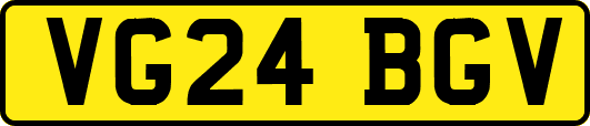 VG24BGV