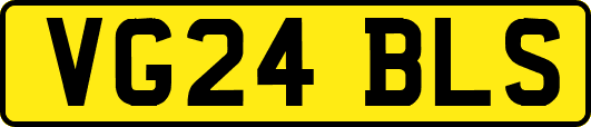 VG24BLS