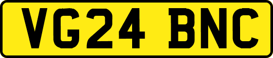 VG24BNC