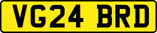 VG24BRD