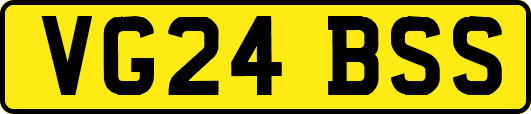 VG24BSS