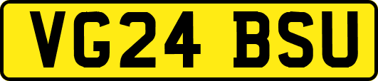 VG24BSU