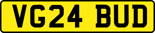 VG24BUD