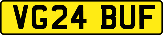 VG24BUF