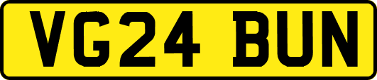 VG24BUN