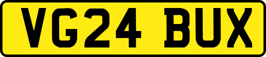 VG24BUX