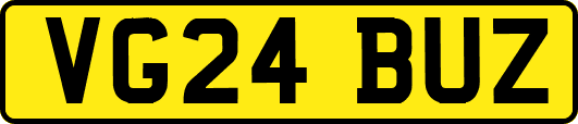 VG24BUZ