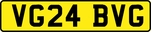 VG24BVG