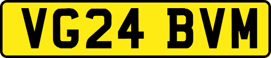 VG24BVM