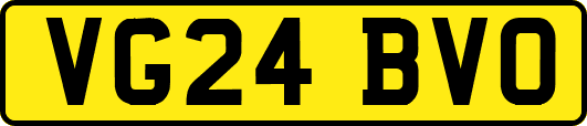 VG24BVO