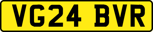 VG24BVR