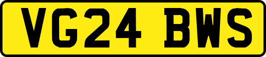 VG24BWS