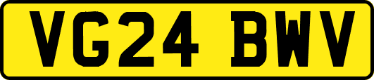 VG24BWV