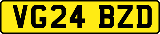 VG24BZD