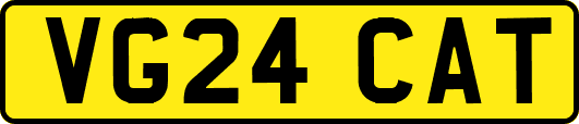 VG24CAT
