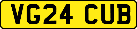 VG24CUB