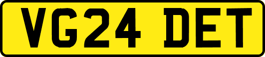 VG24DET