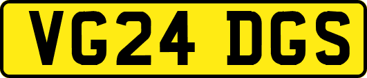 VG24DGS