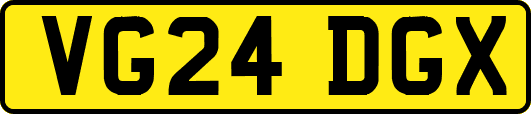 VG24DGX