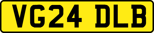 VG24DLB