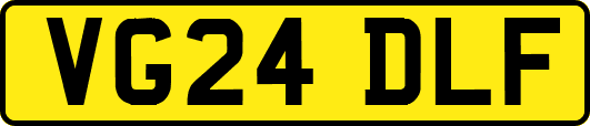 VG24DLF