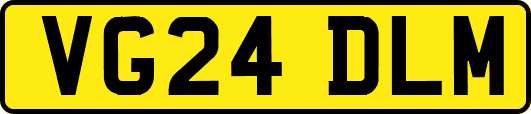 VG24DLM