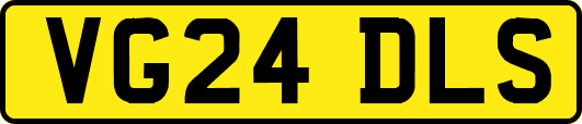VG24DLS