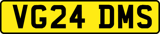VG24DMS