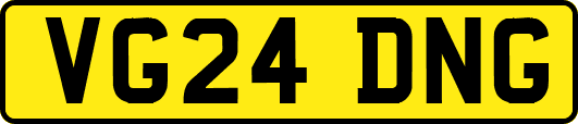 VG24DNG