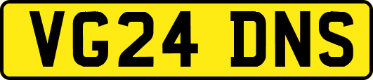 VG24DNS