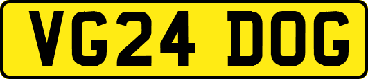VG24DOG