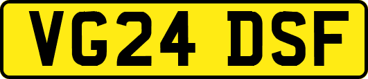 VG24DSF