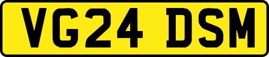 VG24DSM
