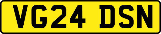 VG24DSN