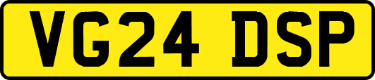 VG24DSP