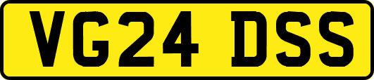 VG24DSS