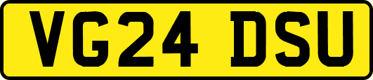 VG24DSU
